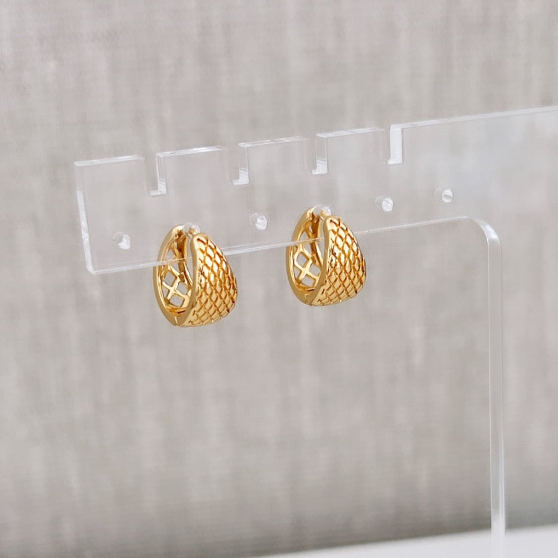 Gold Hoops Earring