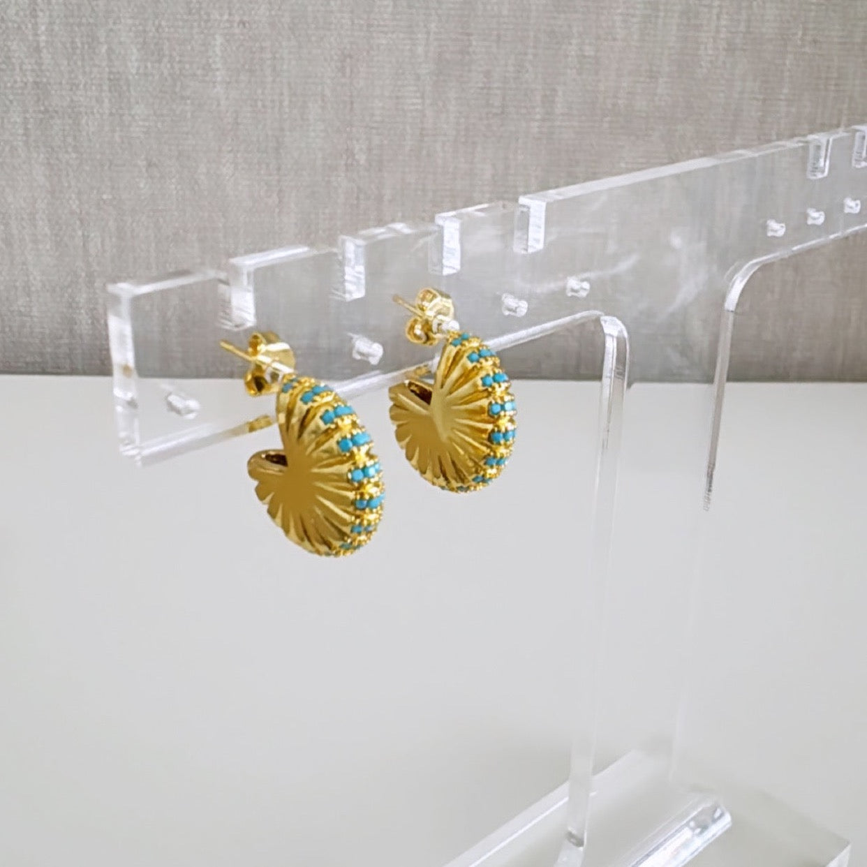 Hoops Earring