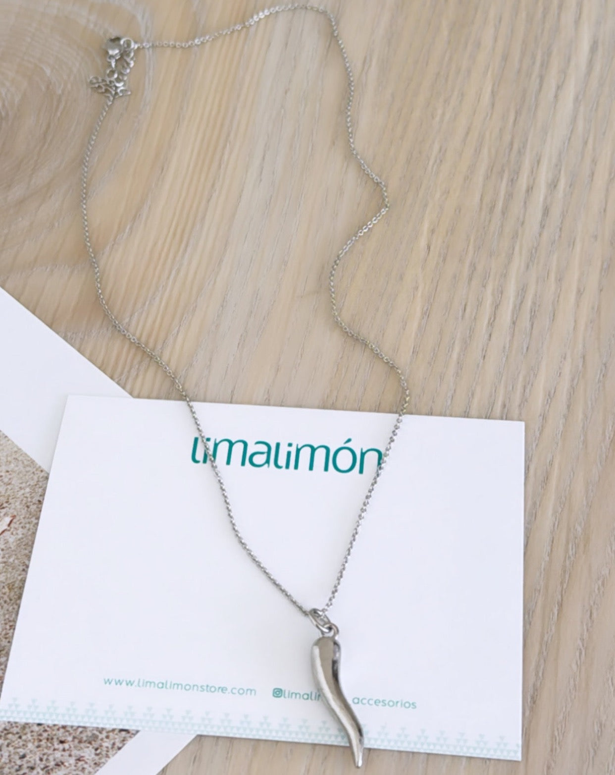 Charm Silver Necklace