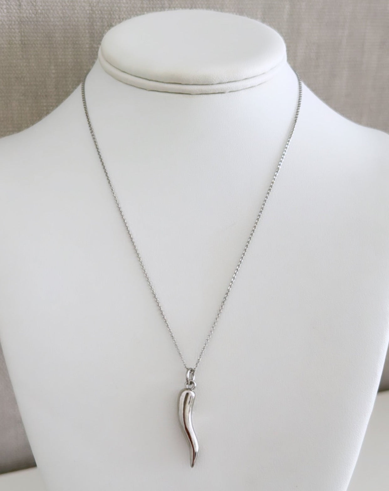 Charm Silver Necklace