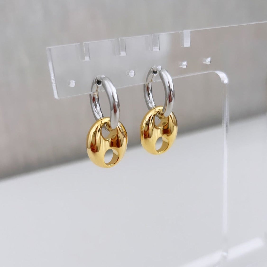 Gold and Silver Earring