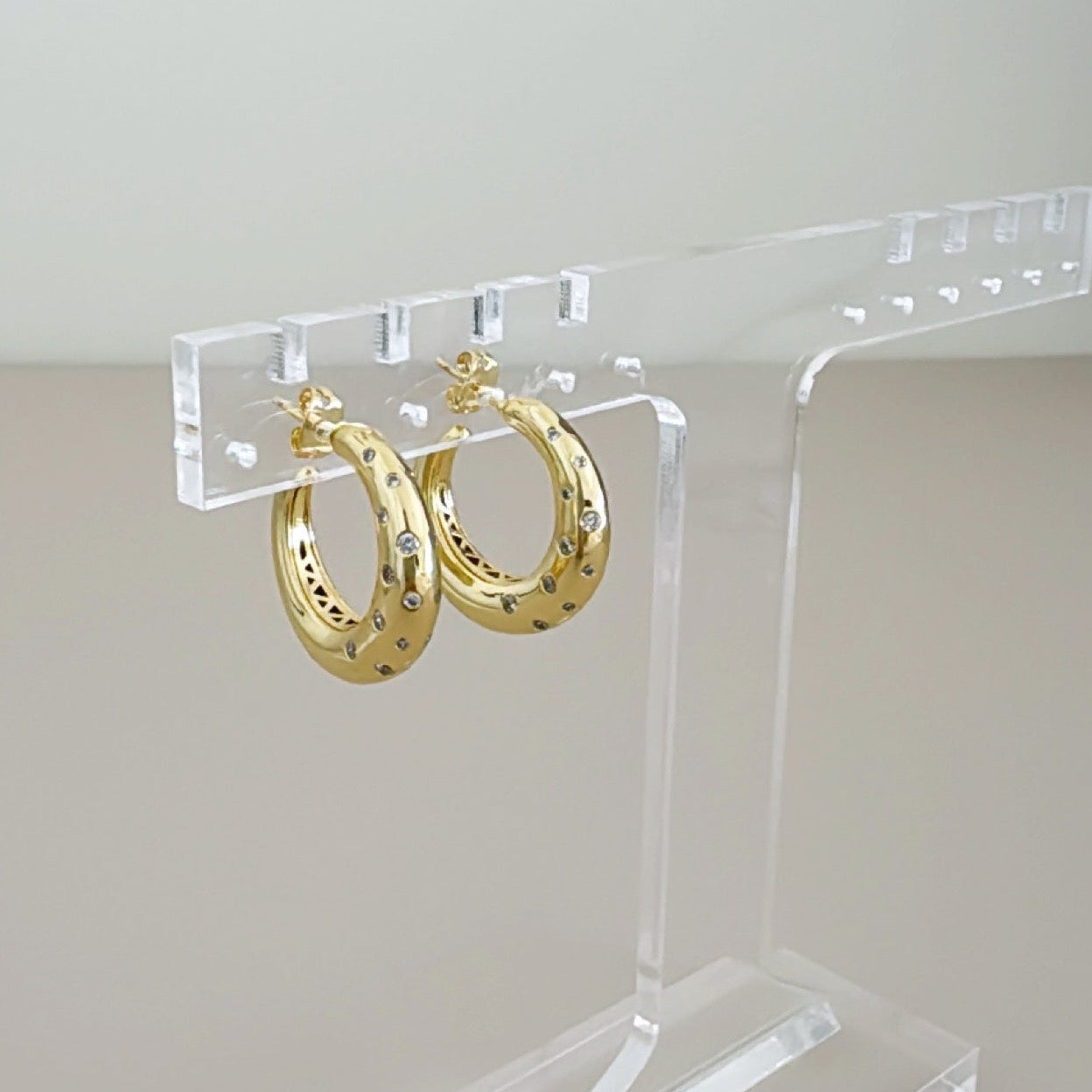 Gold Hoops Earring