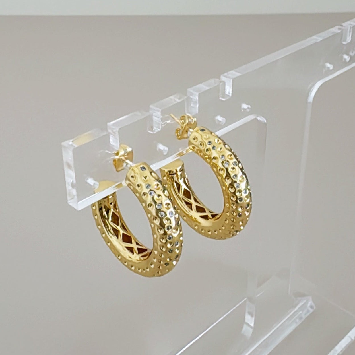 Gold Hoops Earring