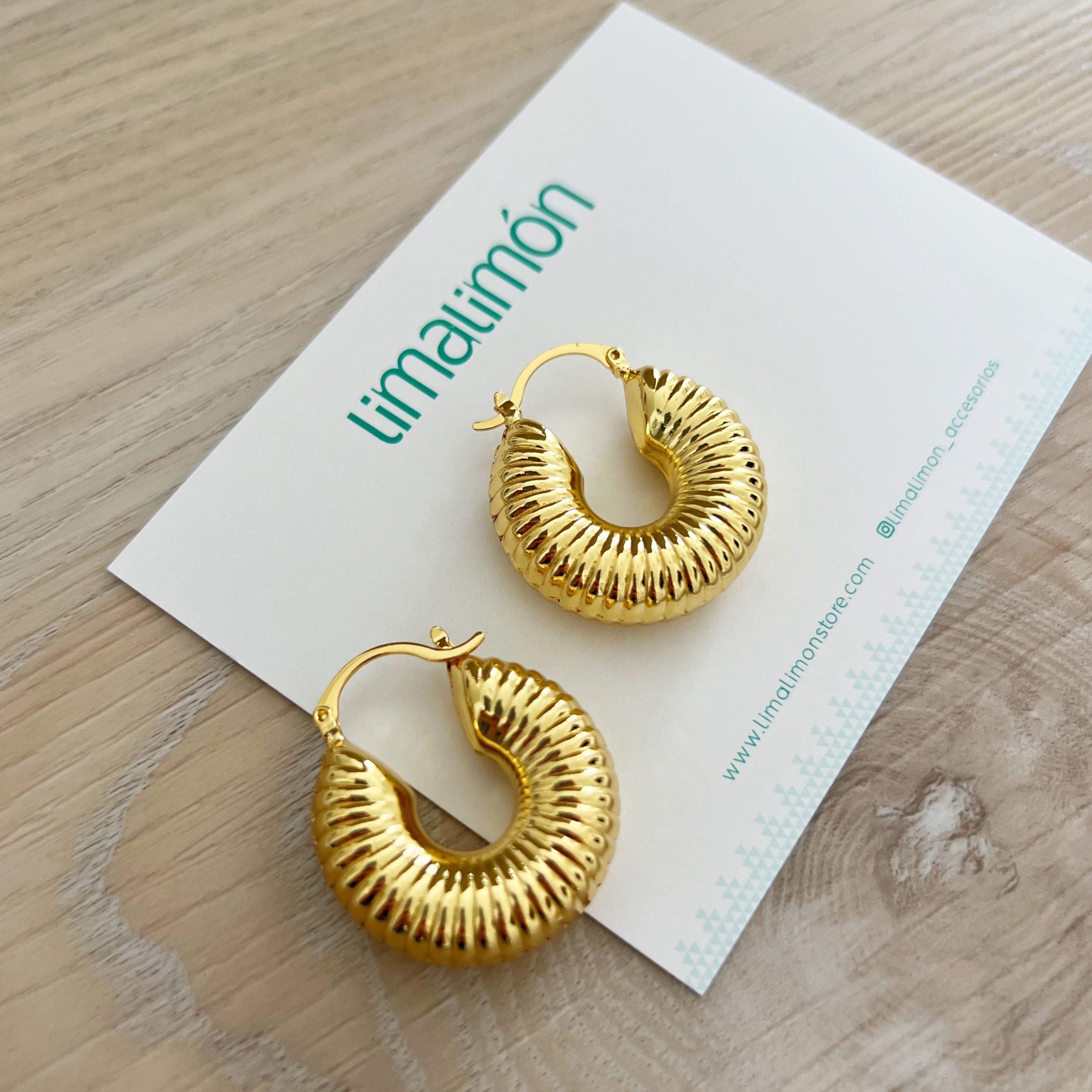 Gold Hoops Earring