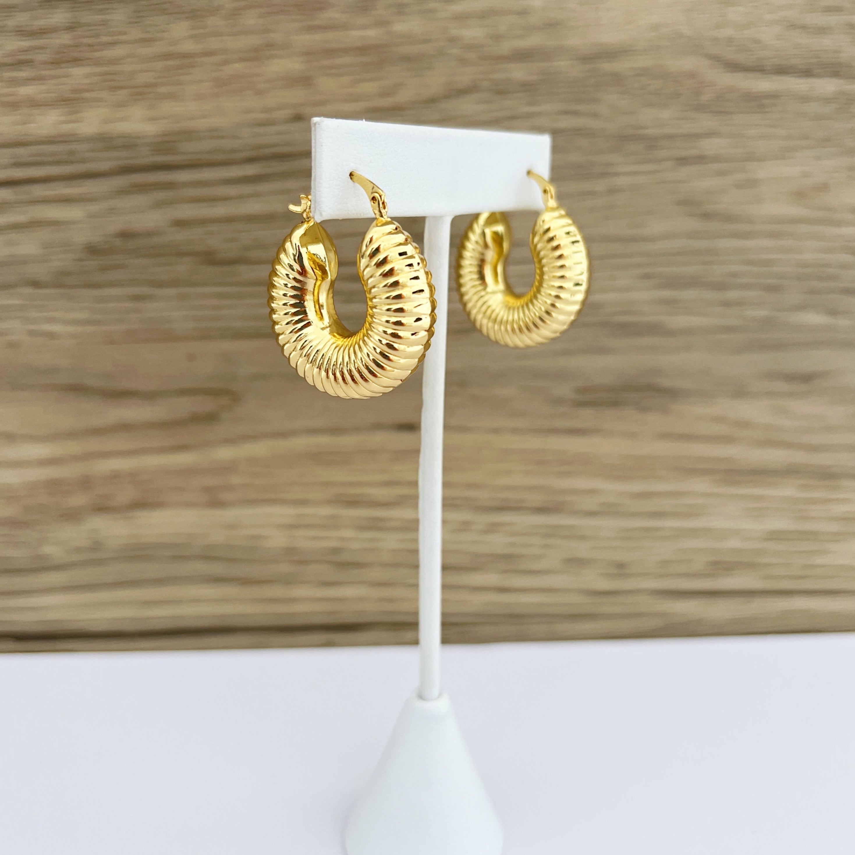 Gold Hoops Earring